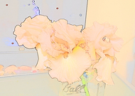 2019-03-17/bd2926b70d670aa7896e1459aebc32f5_5d20e0470e44a46f7c705d8117aa3e71