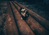 2019-03-17/dd5644018a6e3abbddc059f533a22cde_3c4a1c8019b253a16d92f040ac297b30