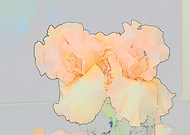 2019-03-17/ff55f48a5d501df986d0e552f6d2e7ef_8fc07e6444d3a13ed9fefe6bbe1a5cf4