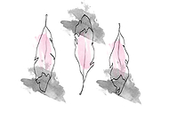 2019-03-18/20a950c3951704baaaa37fce3e52e840_a1ba95f5d4a2b1ac84b6c75779cd91ea