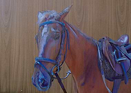 2019-03-18/4d8caa8ddb205dff1a2ed75038168741_e6e904c349c706023e1502c5a17b5637