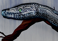 2019-03-18/6ecef54d0c5cfeee858c6ef357926dfe_56a41bdc9fef131f66fe26fb88623ca7