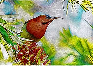 2019-03-18/9995ffc3085bfd8eaa7d2c46ec032202_07b4f33abc65bf0ea342c9b48e26e109