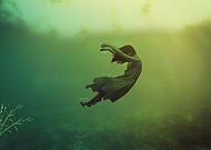 2019-03-18/f69bb612bc79ba9f29c55bdc6fa7303f_6f0c6d64ff960adcd7abefcee970be1f