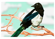 2019-03-19/ab0dff3ab4a36235f5cda5fe8aa04ec7_ffc27423c7424eb5a75d499c65ccbf27