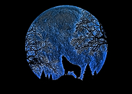 2019-03-19/cca94b516407950b7ca2c8649fb14424_2dc0fe2cc78573e8af04f5ee91fa372b