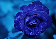 2019-03-20/2663c1f8ef2b49d74d421768a0a0cc7c_50f58030502d1ad2712d0454e05a25f4