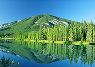 2019-03-20/3ae221d4b074a630301749837fe7b290_f5475600a63073dac04a8a49c98309dd