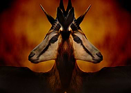 2019-03-20/492e64b471345b0fc5fe3748ff053d88_9d7fcabc0c20a8786988c6087e9f88b8