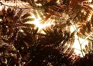 2019-03-20/5d0f1f296643173119f9dedb85d488f7_2362f55c36fb9300ea8dfd48ac39a8f1