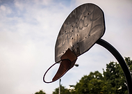 2019-03-20/67e5d3d031e3618516c205230a6136c4_12ac019095e3e9c7c995871fc8446f5e