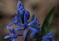 2019-03-20/7eea9a80044ec036e47fc52760c87379_b36e98ceca95fa604f42c057c336369a