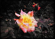 2019-03-20/92854deef67c1da3a44069a0bdfe8f90_3d10c8b9dfd6cb35a2cccc67cf0dc778