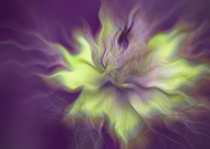 2019-03-20/94c15a7609acadf5673a23487c473a70_b1c037de65642bccfaa77720f4f923f3