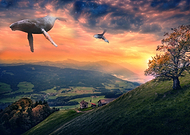 2019-03-20/fb8cee86e73f6091f303d8c4c4b265a6_0d46f7c42debcb78b12659fef29b826f