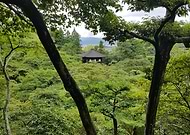 2019-03-21/017d983c8c0eabaacf6284b7645495d6_190b58e0d4944fb3da229c233aafabe8