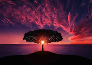 2019-03-21/0869f174defff274400cd56f507530cb_e870f51ec1c9c51198edd6696e222207