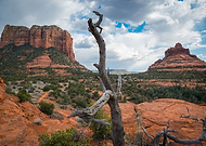 2019-03-21/59496f5382ccc6dc9e6d484258d553d4_1d9bbdb27086df4d3e5d47a4fa8c9764