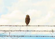 2019-03-22/13ae31019e5420098d6f98b3428a01a1_f68b7a01914e7a28ce3ccb416d7106eb