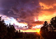 2019-03-22/25963c1195b0e92fc2aa33f62d5f2011_c00b43d9d8922d08fe248ed79f5fbcd2