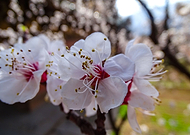 2019-03-23/2ebad35b48b7cb38a1b3fa40476da76f_ad498061aa88a72881ab3abf1009e013