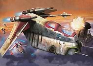 collection-preview-1