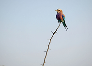 2019-03-25/68a384ec1f770916bb144cf4250aadc9_969123afea0ebab7d59d16da172b197e