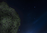 2019-03-25/83b94b981c45be5fd8ddf811b66c3255_d5756376e9c928e6e183342af3ebe897