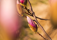 2019-03-25/8f37f1192d9f6447d0efe014e4f06ec7_9a6db507664868b98512c9e487dbc5e4