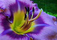 2019-03-26/2742383852ad561c59c7f1336d78967e_492f313de196af73427c4e3b31e25507