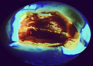 2019-03-26/43783a56c92fdbc6e04edf1a223702ca_f5ce1489be4d0f23df780c9acf2a7db4