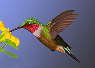 2019-03-26/c12b268cfcc51fa73945442f4be6eb0d_413b9c3f7e9540562d9bc49bd30fc890