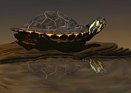 2019-03-26/db770198cc0ea59a30d3bd4be6247544_22c186a119160062241595e9264c82dc