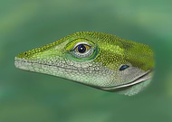 2019-03-26/fed22467b79d432e31d5cc70f6cdaf85_d691a03e0258e27e5fbdf2e68a361fec