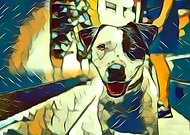 2019-03-27/56c4dfd53c916f4b569edbd37a55a812_124472e04c5fcec9e250a72b4e57dda3