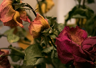 2019-03-27/5b3867c582c1d80273dec8c322ed346f_978821bb84427c4a5490c339c5c729ee