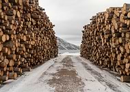 2019-03-27/702efcc61182f75ed953822ea817466b_53e38cd2743d9350883cff03770e5736