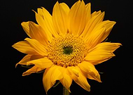 2019-03-27/e2f8ece315196bee5e53569f0da8db5c_836285ff6601c06fafb6ac6d3258ff9b