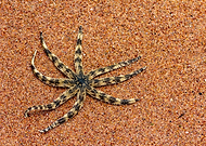 2019-03-28/2536e93ca900a9e2ef3a0742833cee63_c344f0c9b232f9f8a1db9a729dc82a74