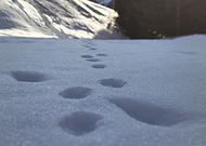 2019-03-28/3d9f0a578ebc5a8804b6ad9ccdd57f61_73cc128933269680830a53391fbf57ed