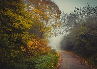 2019-03-28/4a420c09e0d5f5c6335c1065a0bff73f_f2527715a5992f9e7afb072542354a84