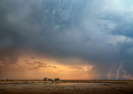 2019-03-28/5ad9cdad8233d795fdb411a5a99a96c7_6837e092da7c55ceaf80f219b568fc7c