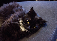 2019-03-28/8e1a6453e4a30c27ffc5da2c4e341d47_5ad55ce123d0fd239f94d3ba662c3254