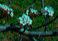 2019-03-29/0bd1bfe0e6d5df2e33d485a515b45623_df9faef03cb6782131ebd7b8173a84bb