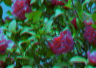 2019-03-29/171e3d035fdc81601786ce77a1698445_f8a0444904cca5c08c74bfe433e5beb0