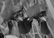 2019-03-29/2d229fc3a282f94739661fb56fef0ce6_6068f932af2b96fce9ee2efe770161ff