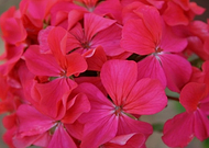 2019-03-29/61d9584496ec75c5b950bd3d79396c31_afc213154ea5e1382607cf6415a4a51b