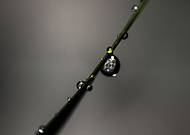 2019-03-29/c183a090929b3b9d08913cd95b2da221_eff7f593bf744254f60647bd0ed889c1