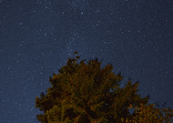 2019-03-30/263971c518137a597e4ef7898815ece2_745b0c92edd9a5aeddf5b6d954c25cb9