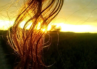 2019-03-30/378bcf5b3aa847db15537842a8fc58a7_d03c3b93f50363b8eb8587229138d9fd